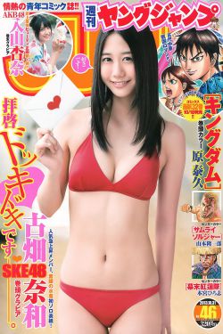 欧洲日本色